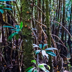 Australia Trip '22/'23